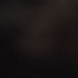 Meet your Posher, Payton